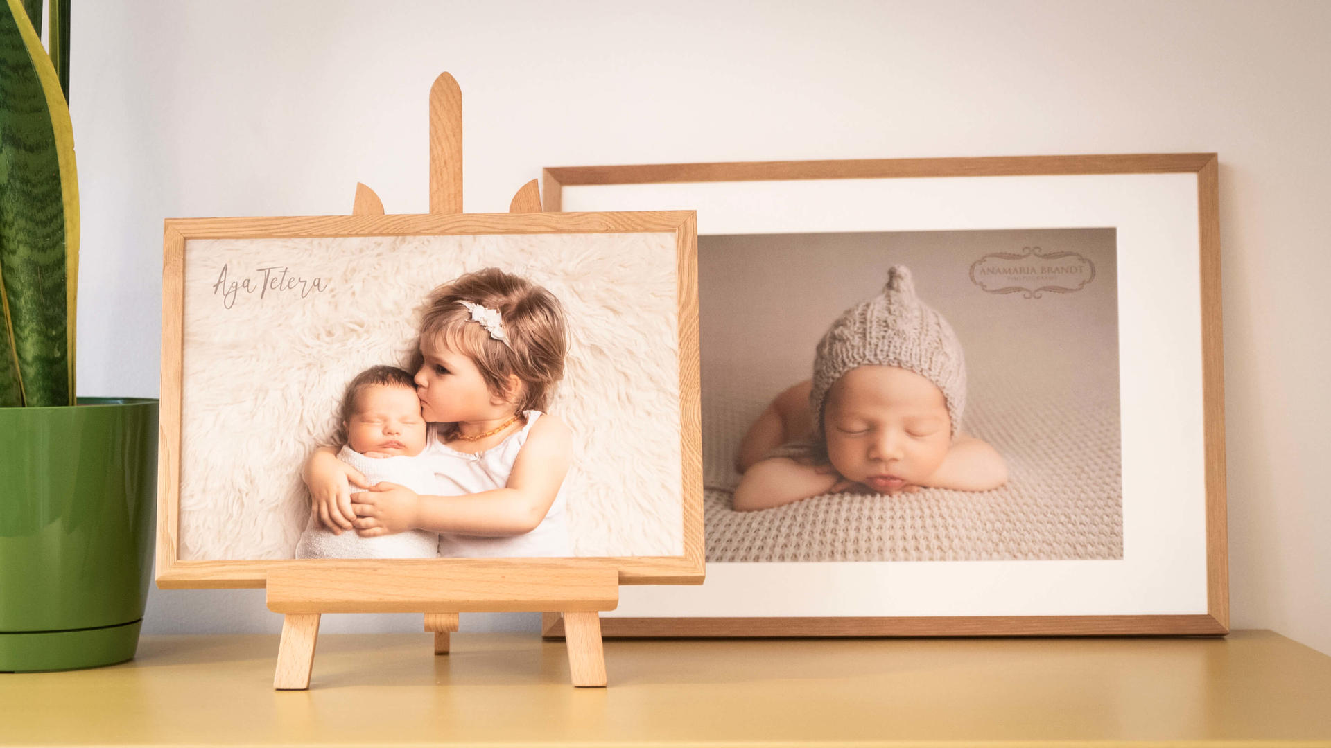 Wanddeko für Neugeborenenfotografen, professionelle Fotografen nPhoto