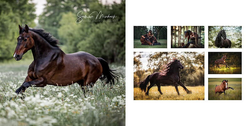 Equine photography photo album