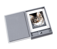 Folio Box - zdjęcia kotów 