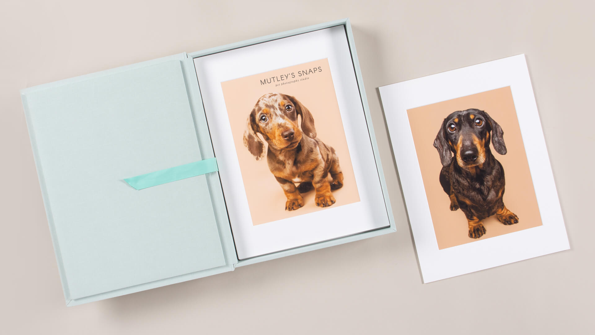 Folio Box - bestsellerowy produkt dla fotografii psów 