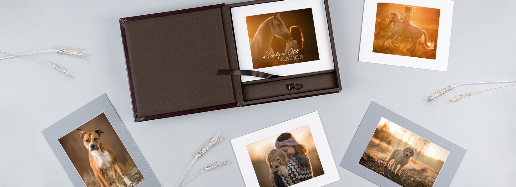 Folio box presentation box matted and mounted prints pet photography