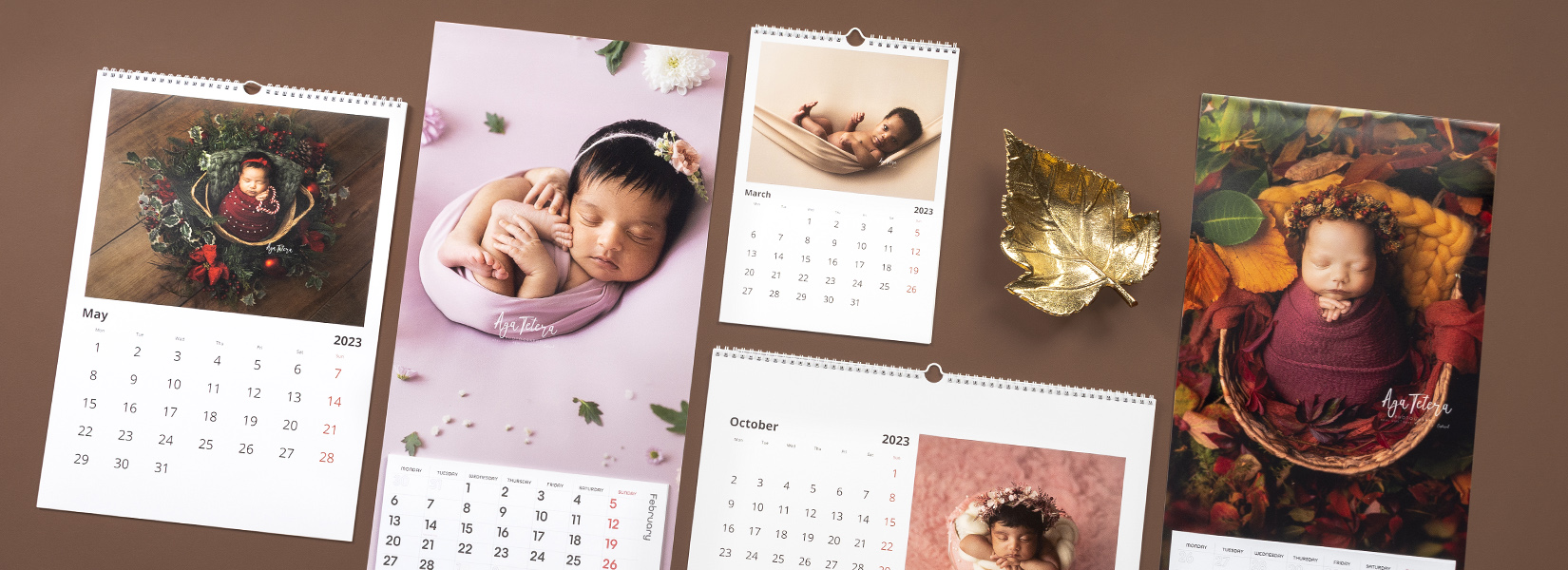 Calendriers photo pour Photographes Professionnels