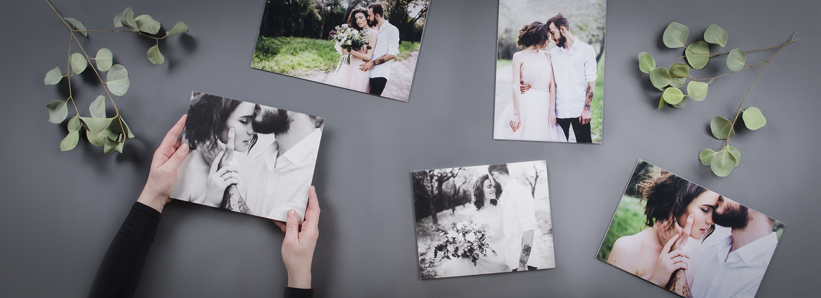 Cartes Folio Standard