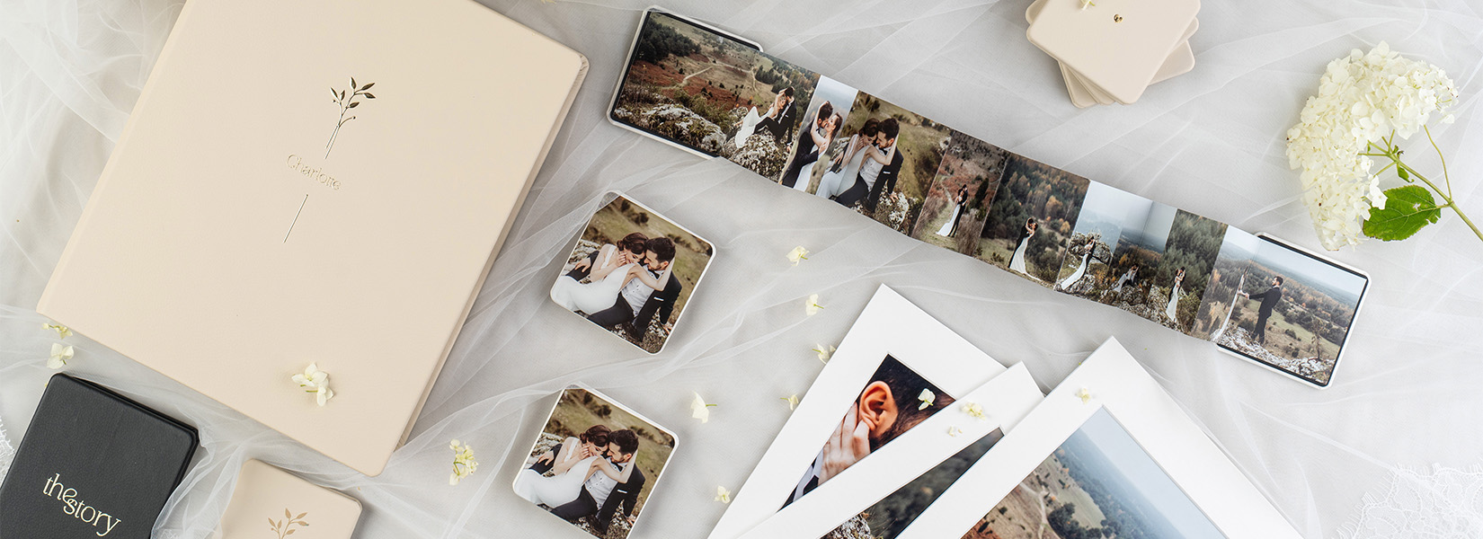 Collection Intemporelle