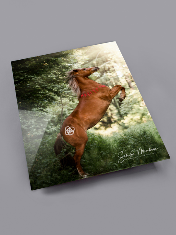 Foto hinter Acrylglas Großformat professionelle Fotografen nPhoto