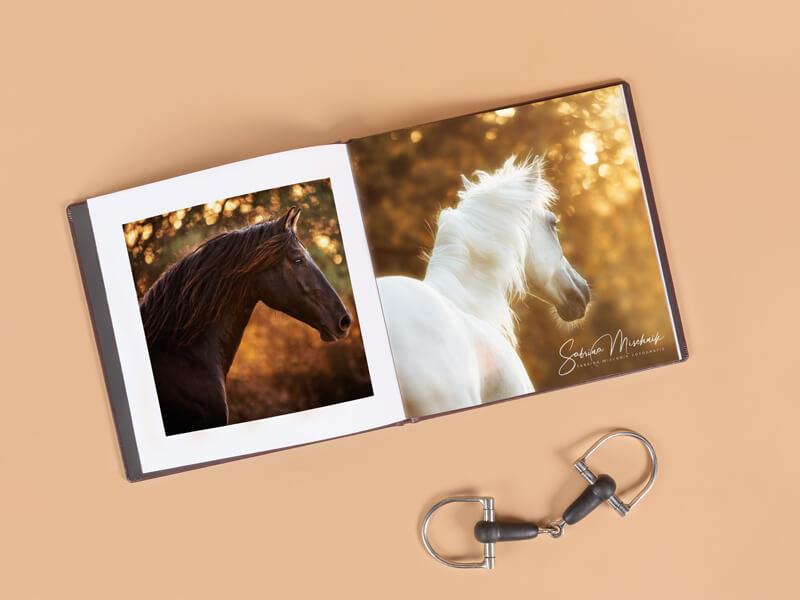 DreamBook 4K Exclusive, handcrafted photo product, prodessional print products for pro photographers