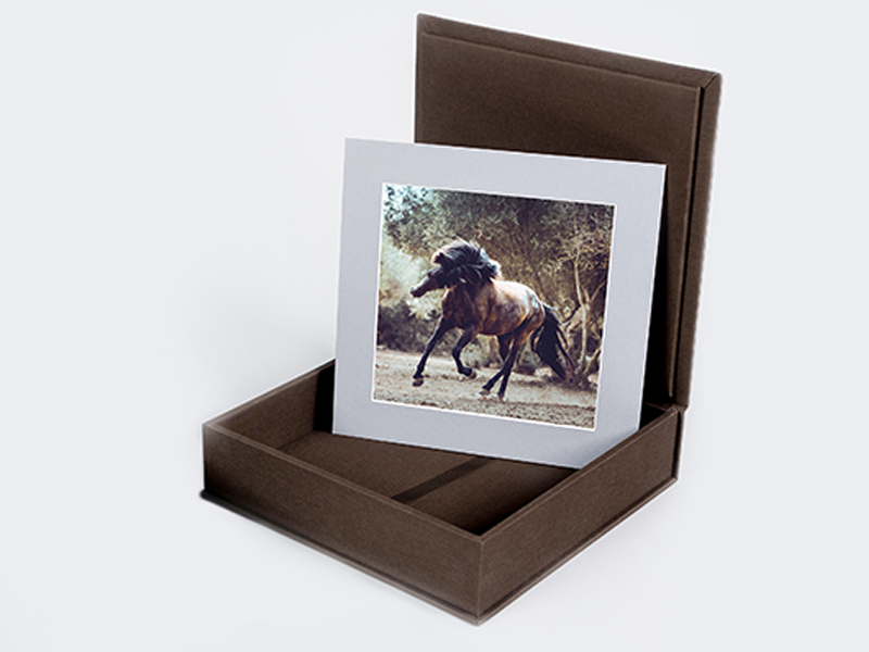 Folio Box Akryl Prestige
