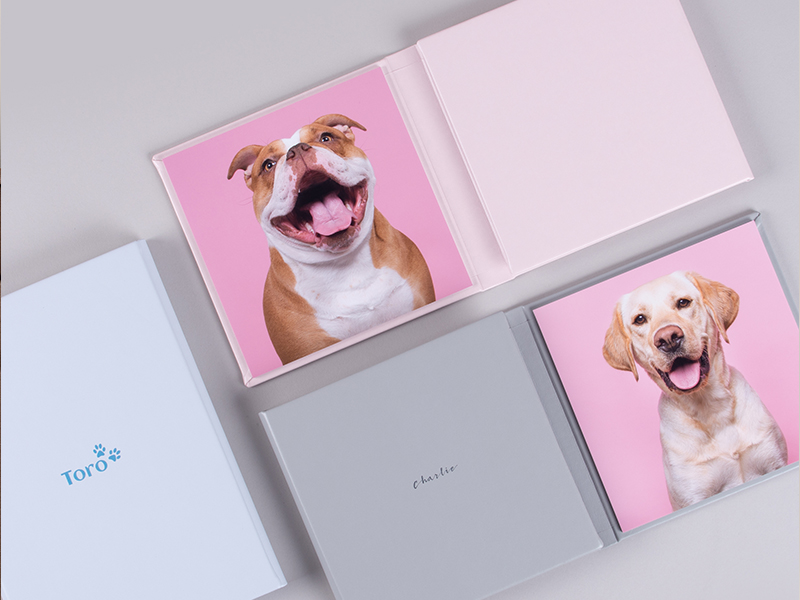 triplex leatherette uv print cover personalization professional pet photography print by nphoto artwork by mutley's snaps