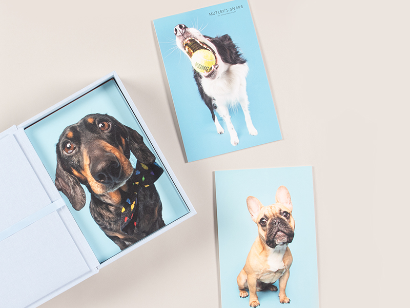 folio box broad mounted ridgid prints leatherette personalized cover pet photography by mutley's snaps professional print for photographers by nphoto lab