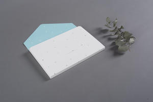 Envelope for Fine Art Prints Blue & Grey Stars pattern professional photo product