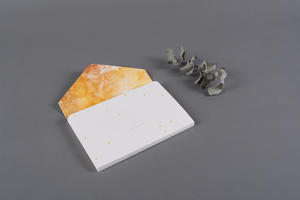 Gold Confetti cover pattern Envelope for Fine Art Prints nPhoto professional photo product