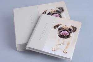 pet photo dog photography acrylic album