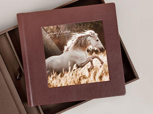 complete album exclusive with equine photography