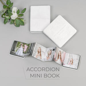 accordion mini book
