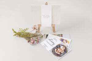 nPhoto's Folio Print Lite