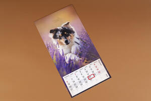 Fotokalender HD