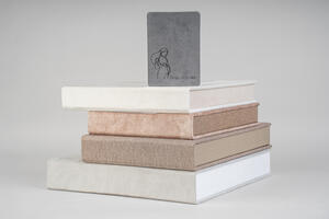 Accordion Mini Book V4