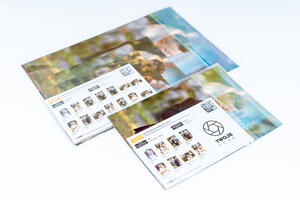 Kompletowanie Premium w LookAt