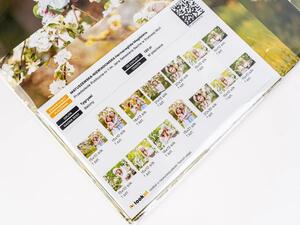 Karta kontrolna - Kompletowanie Premium w LookAt