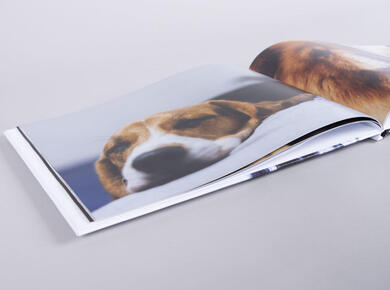 Fotobuch mit Foto-Cover auf Vor- und Rückseite Tierfotograf Hunde einfaches professionelles Produkt weiche Seiten