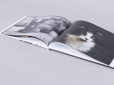 Photo book with printed cover wrap cover pet photographer cat simple professional product soft paged