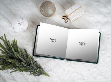 Accordion Mini Book in v7