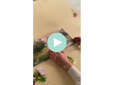 Rolki Lite Album | Spring Session