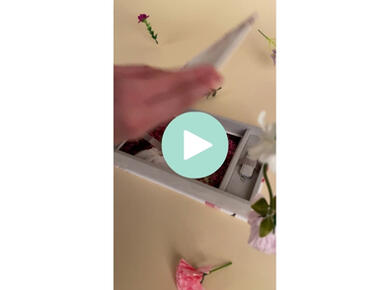 Box for Prints Reel | Spring Sessions