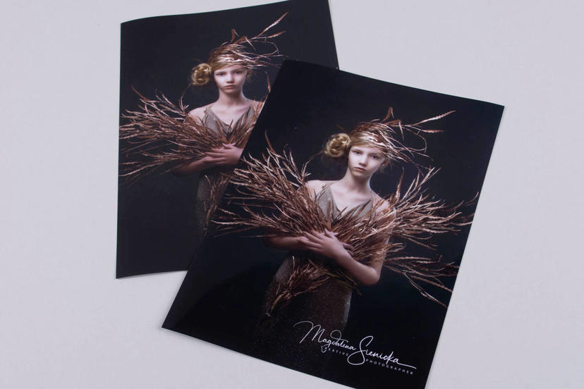 Dream Prints - Perfect for Professional Photographers dreamlabo 5000 printing lab professional printong services