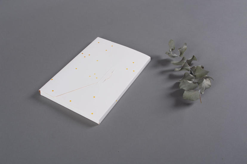 Envelope For Fine Art Prints Gold Confetti cover pattern nphoto professional photo product