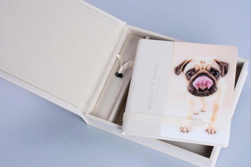 Hundefotografie: Fotoalbum oder Fotobuch mit Box und Acrylglas auf Cover für professionelle Fotografen