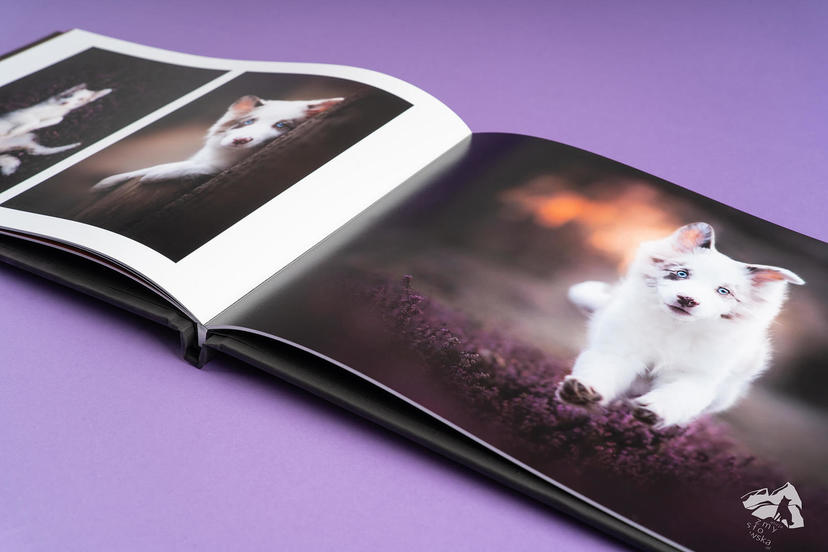 Dreambook 4K Fotobuch für Tierefotografen 