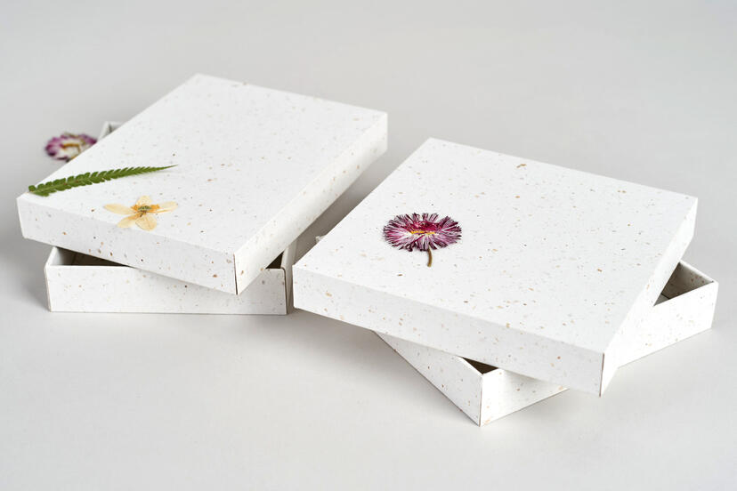 Coffret Écologique
