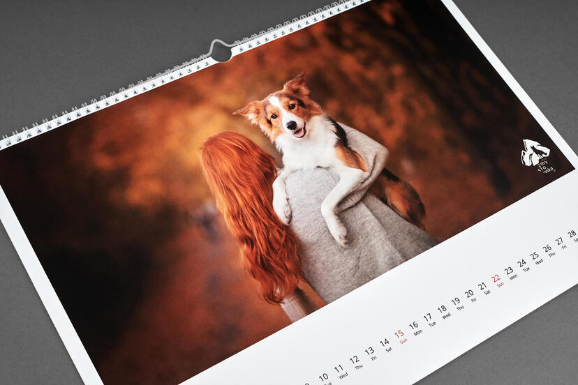 Calendrier Photo pour photographe professionnel nphoto
