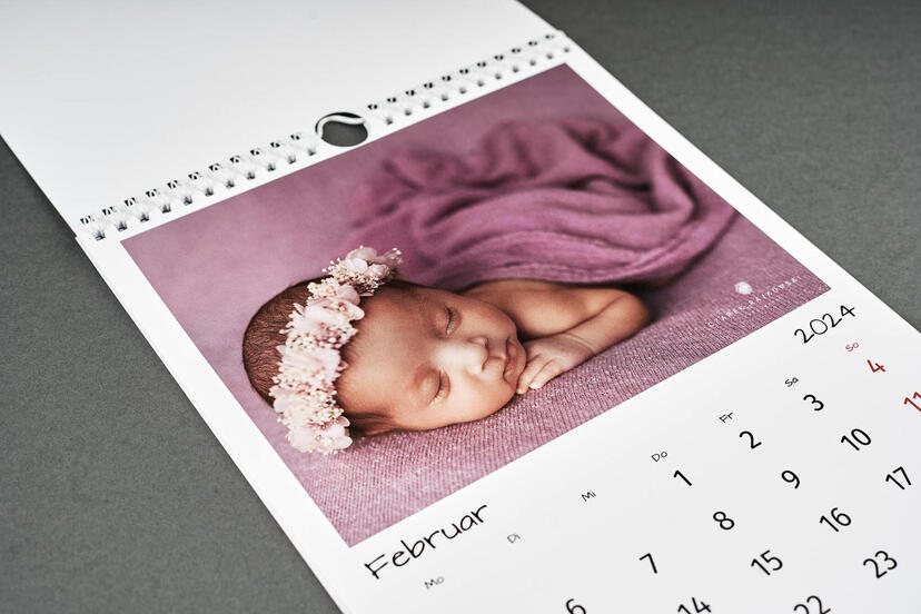 Photo Calendar Basic Newborn Photography