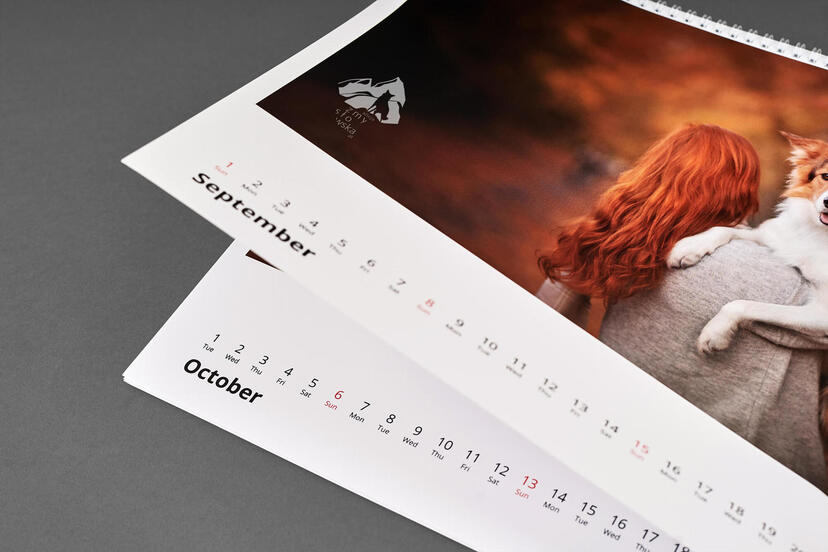 Photo Calendar Pro B2 Animal Photography Pages