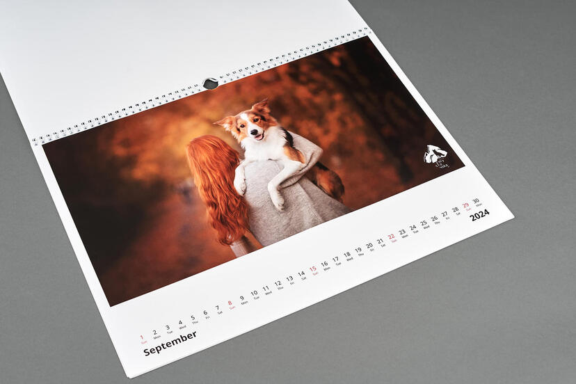 Photo Calendar Pro B2 horizontal