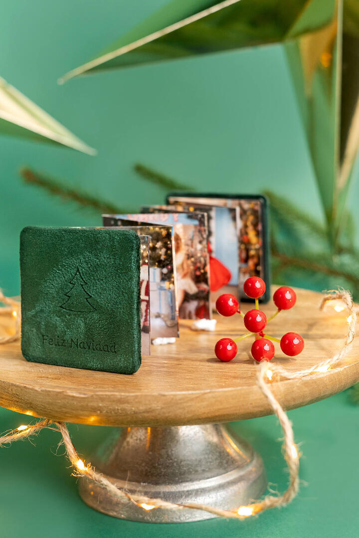 Mini-Leporello in Flaschengrün Velours (V7) für professionelle Fotografen