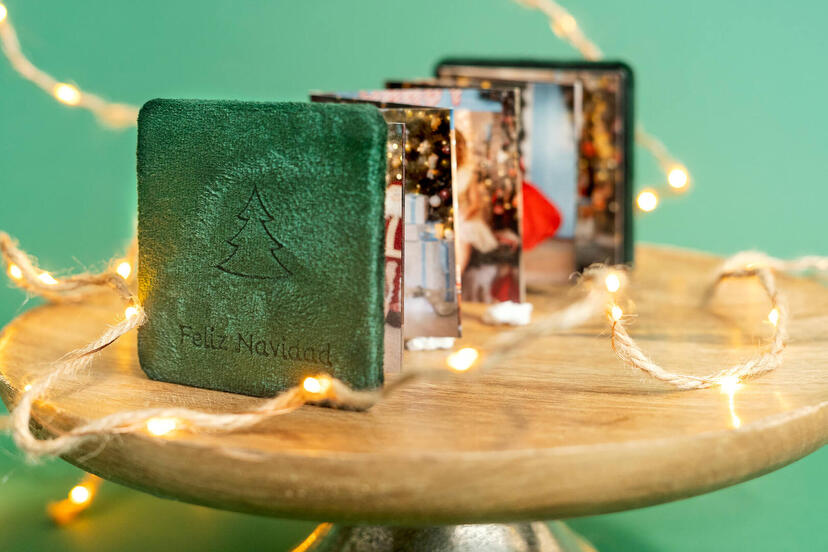 Mini-Leporello in Flaschengrün Velours (V7) für professionelle Fotografen