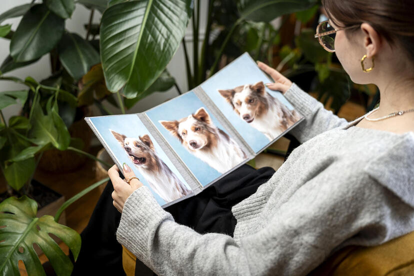 Triplex trifold 3 piece image product grandparent gifts photographer nphoto newborn photography pastel colours nphoto