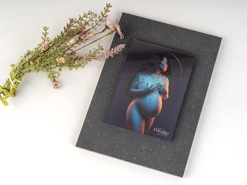Acryl Print Paneel