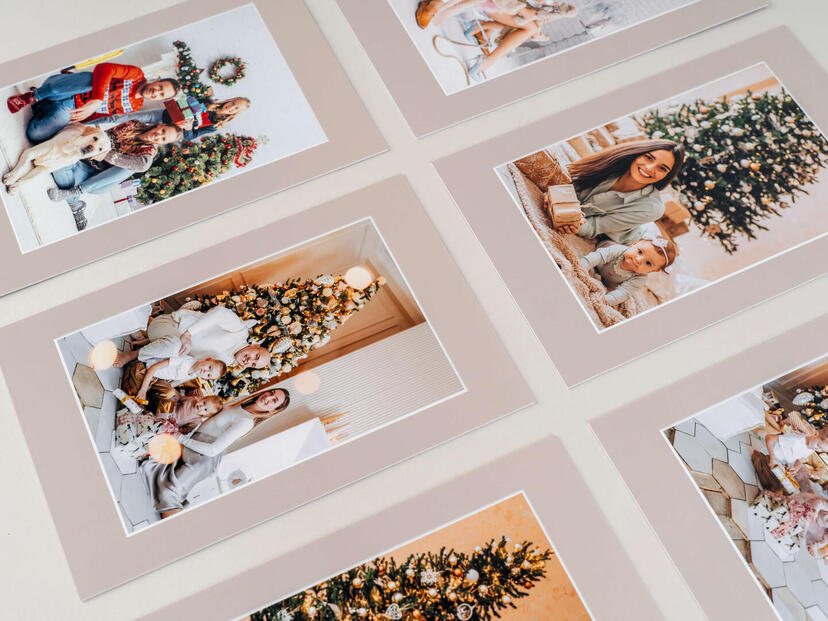 Cartes Folio Lite beiges - Collection de Noë