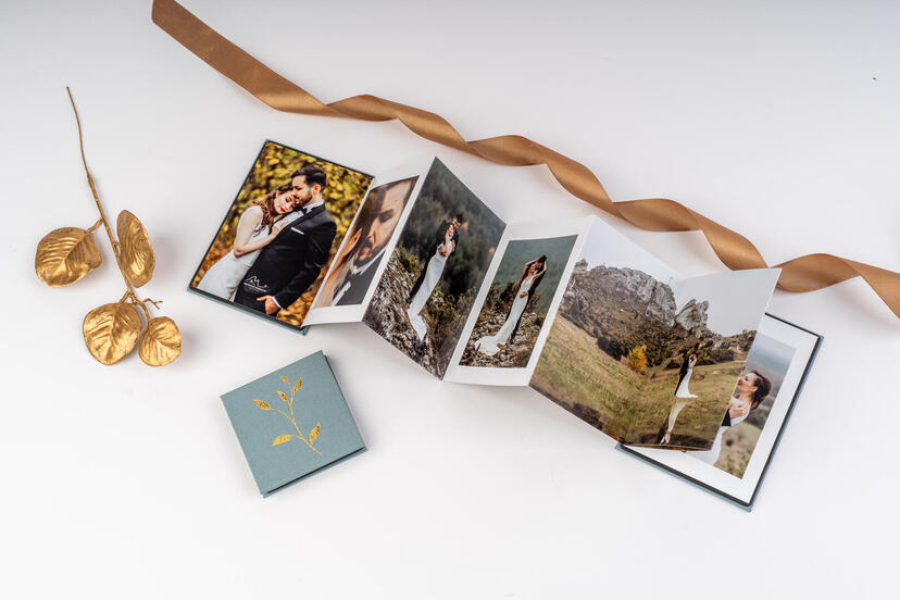 Accordion Mini Book A50