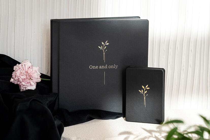 FotoAlbum Pro + Harmonijka 