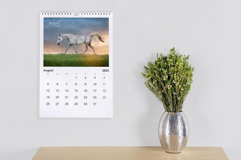 Fotokalender Basic Pferdefotografie