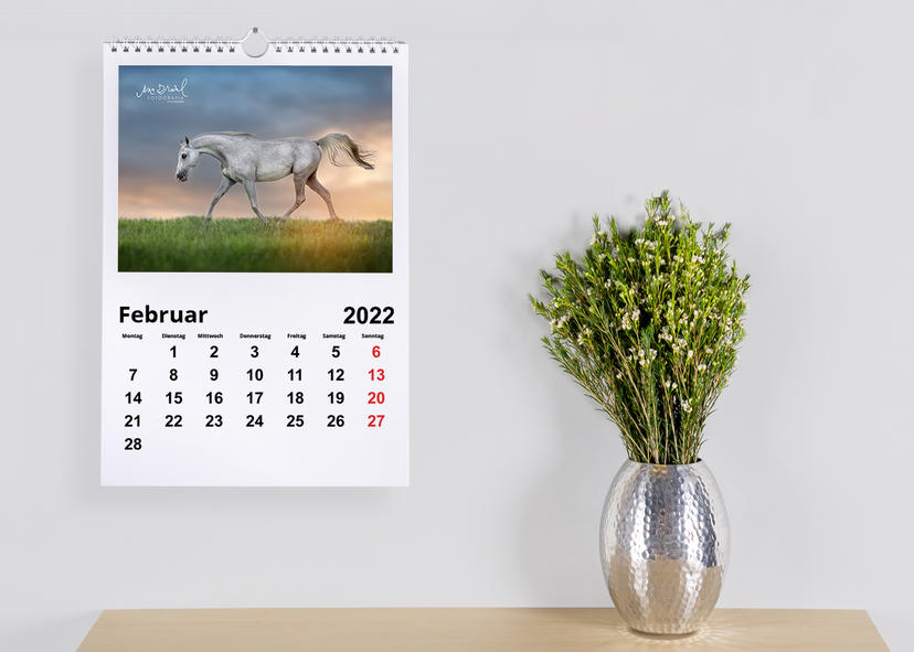 Pferdefotografie auf Basic Fotokalender von nPhoto