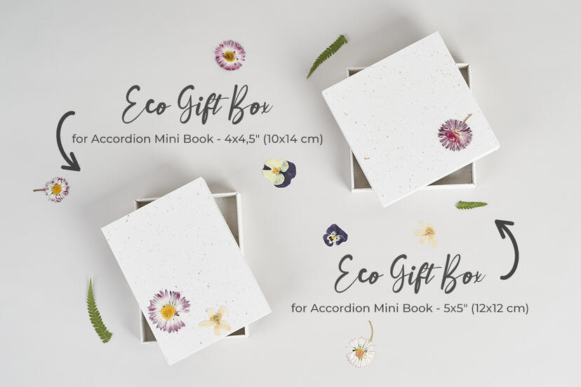 Eco Gift Boxes for Accordion Mini Book