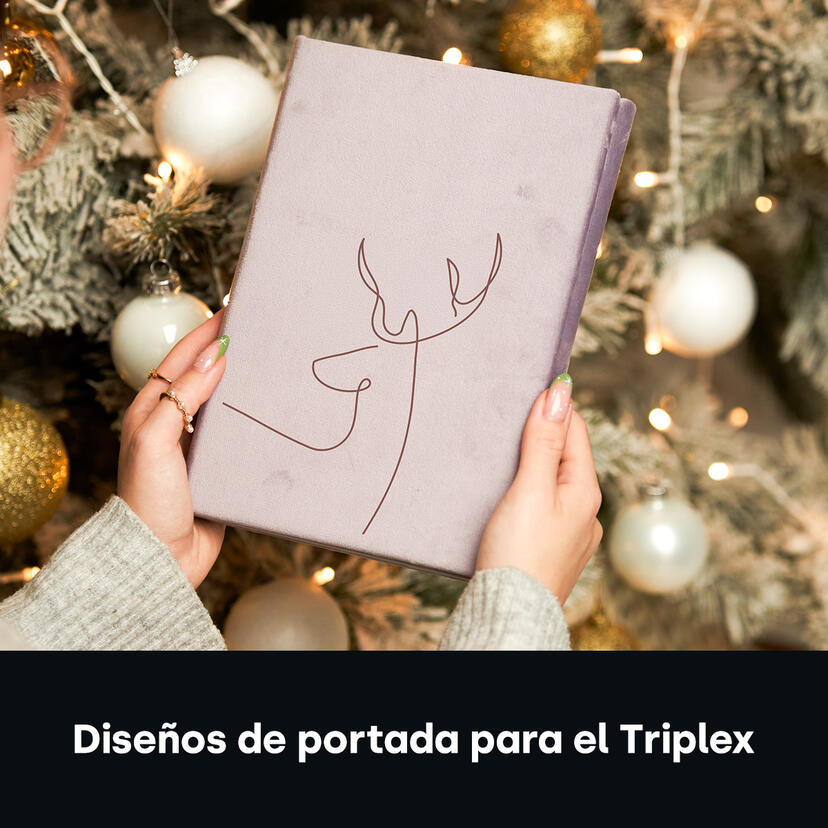 Diseños de Portada para Triplex
