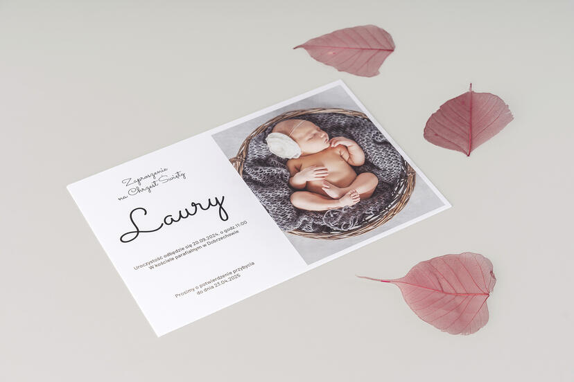 les cartes Folio Lite 