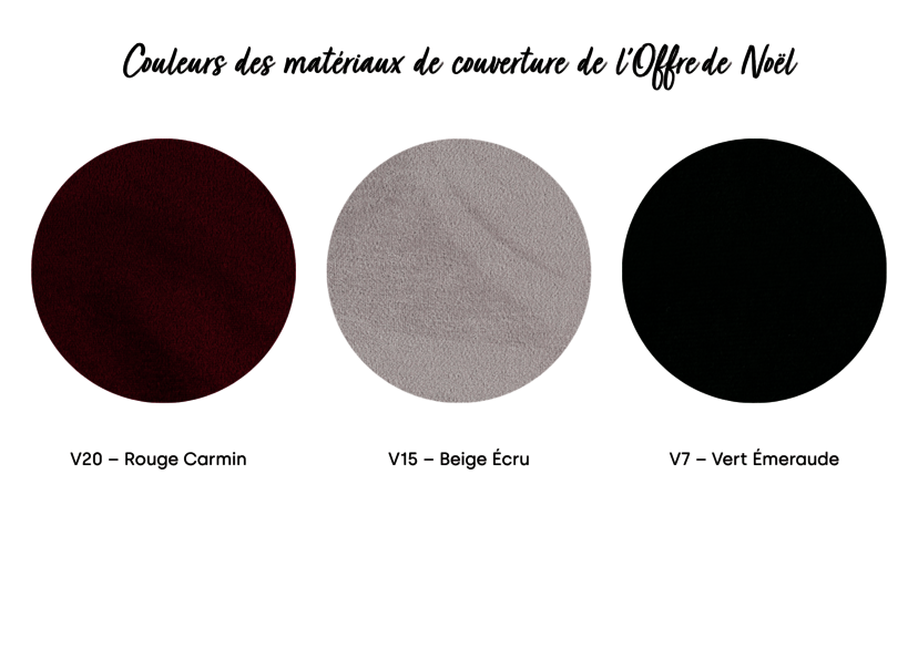 Couleurs pour l'offre de Noel